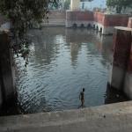 Vraj-Yatra-2014- (414)